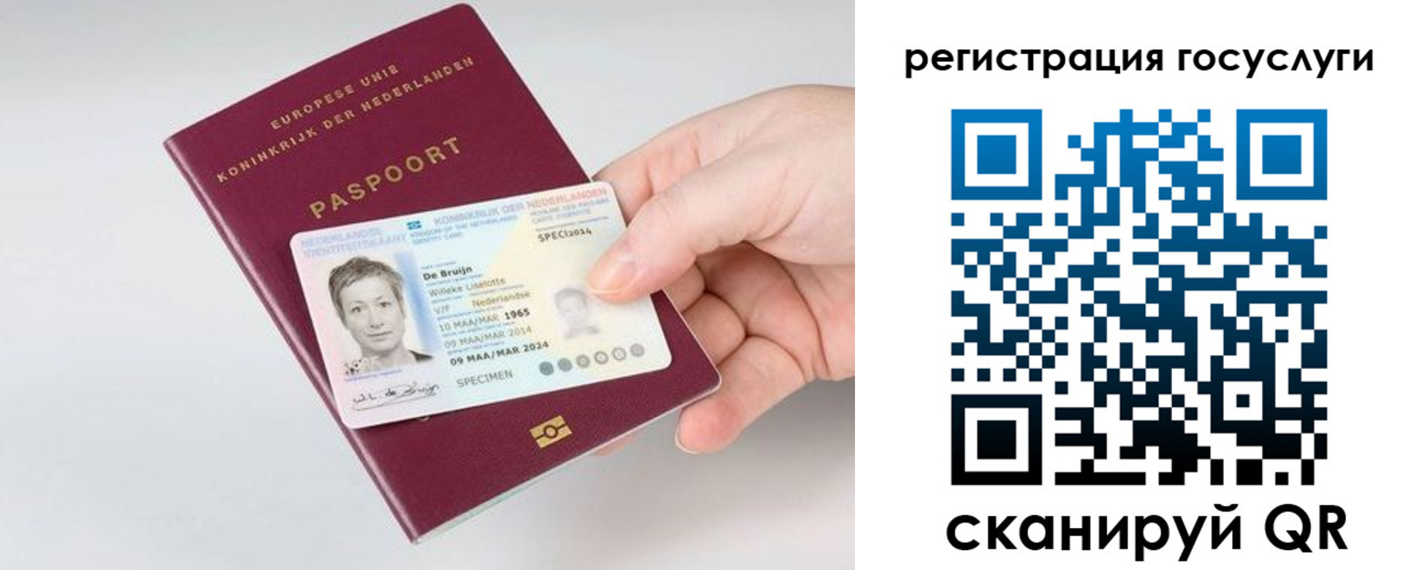 регистрация для дет. сада в Светлогорске