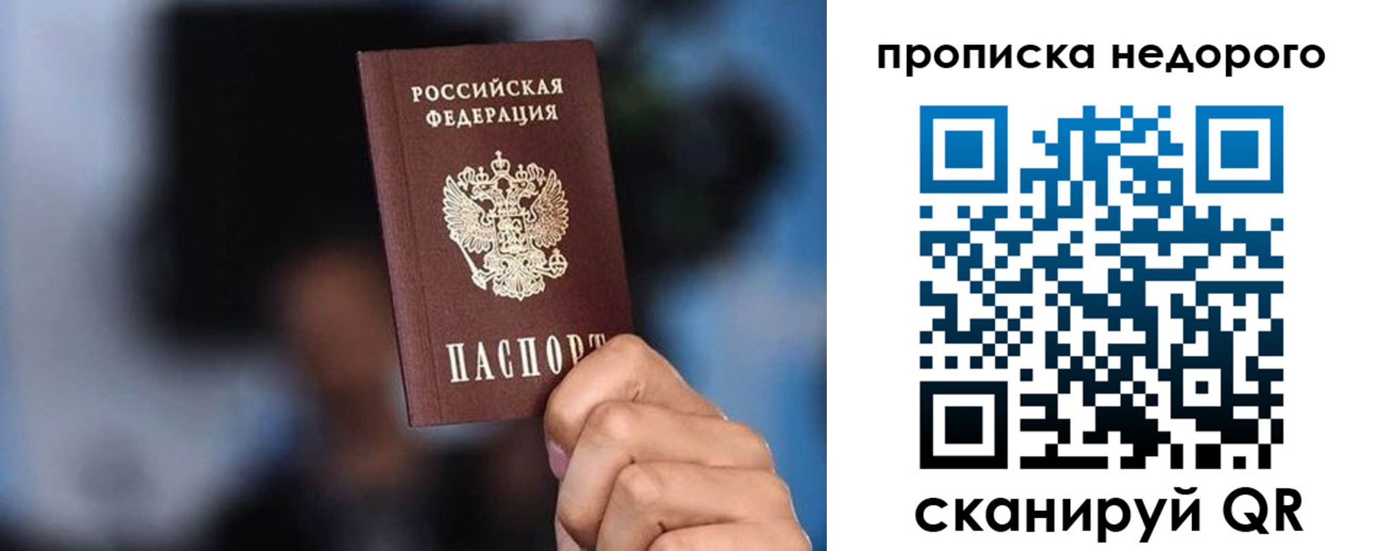 временная регистрация поиск в Светлогорске