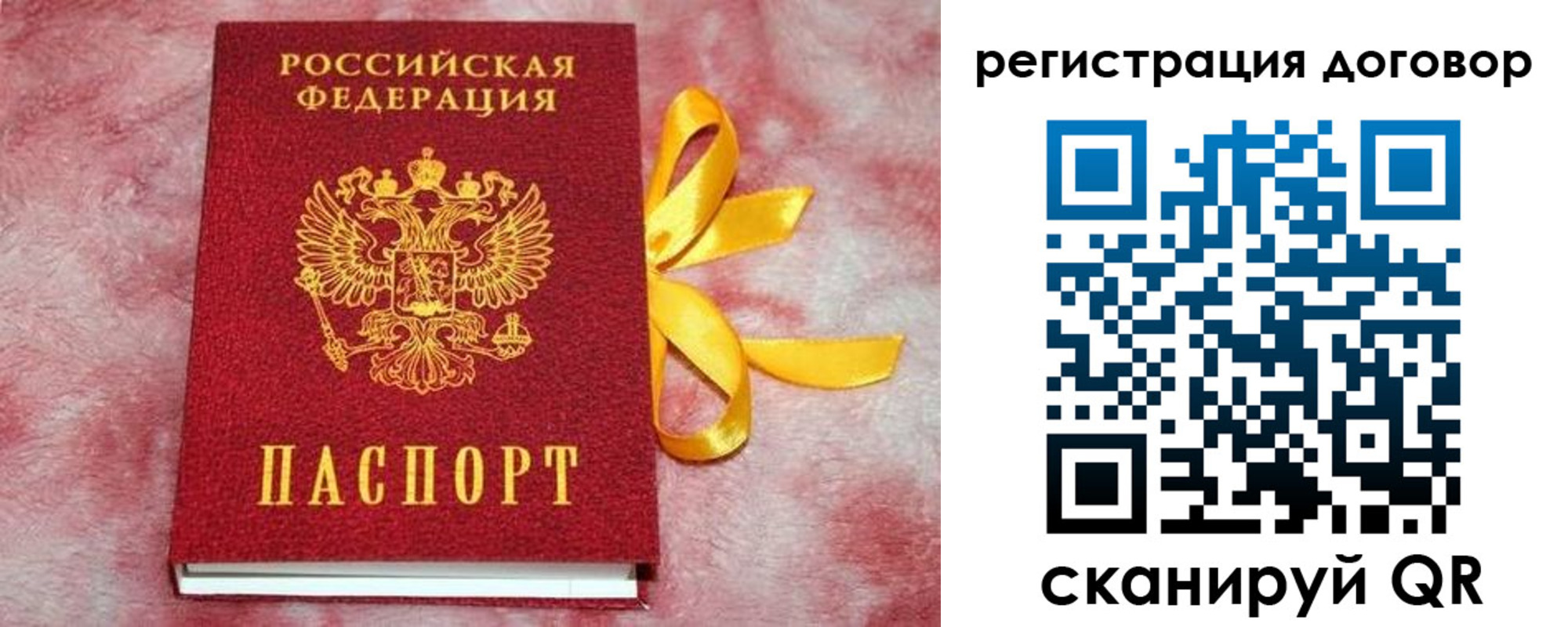 регистрация в Светлогорске